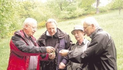 "F&uuml;r Insekten ist heute nicht der richtige Tag."
          Reinhard Wolf