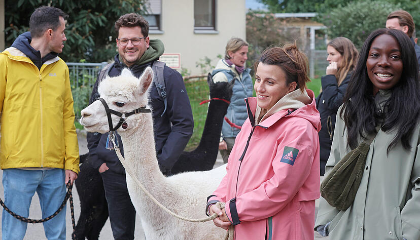 Gemeinsam geht es auf Tour mit den meist zutraulichen Tieren.