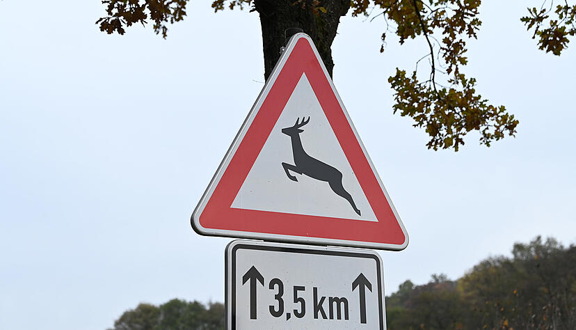 In Bereichen, in denen Wildunf&auml;lle oft vorkommen, stehen entsprechende Schilder. Autofahrer sollten die Geschwindigkeit deshalb anpassen.
