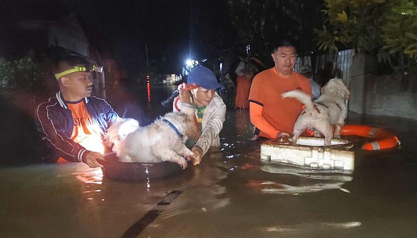 Zun&auml;chst hatte der Super-Taifun &laquo;Ragasa&raquo; auf den Philippinen gew&uuml;tet, nun ist &laquo;Bualoi&raquo; auf Land getroffen.