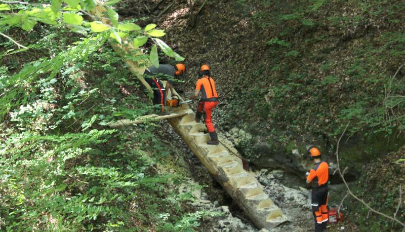 Auf dem Rundwanderweg drei der Gemeinde Wüstenrot sägt Förster Simon Zoller mit seinen Assistenten die Stufen der neuen Himmelsleiter aus. Foto: Gustav Döttling Auf dem Rundwanderweg drei der Gemeinde Wüstenrot sägt Förster Simon Zoller mit seinen Assistenten die Stufen der neuen Himmelsleiter aus. Foto: Gustav Döttling