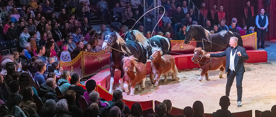 Vorstellung im Heilbronner Weihnachtszirkus