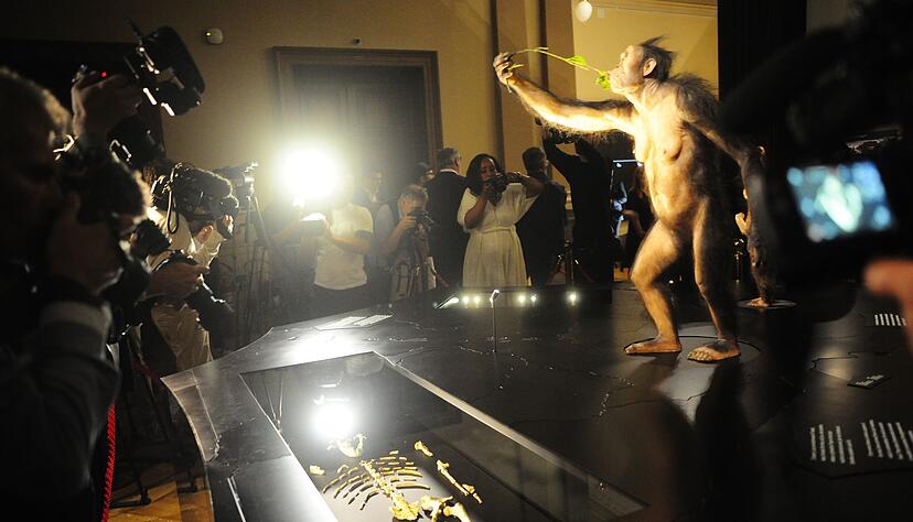 Das Vormenschen-Fossil "Lucy" aus &Auml;thiopien ist erstmals in Europa zu sehen. Die Ausstellung im Nationalmuseum in Prag ist nur bis zum 23. Oktober ge&ouml;ffnet.