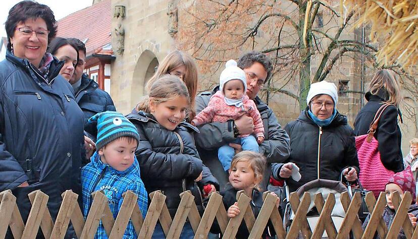Die Gänse in ihrem Gatter vor dem Schloss waren vor allem für Kinder eine Attraktion. 40 gerupfte Artgenossen für die Bratröhre gab es beim Handels- und Gewerbeverein zu gewinnen.