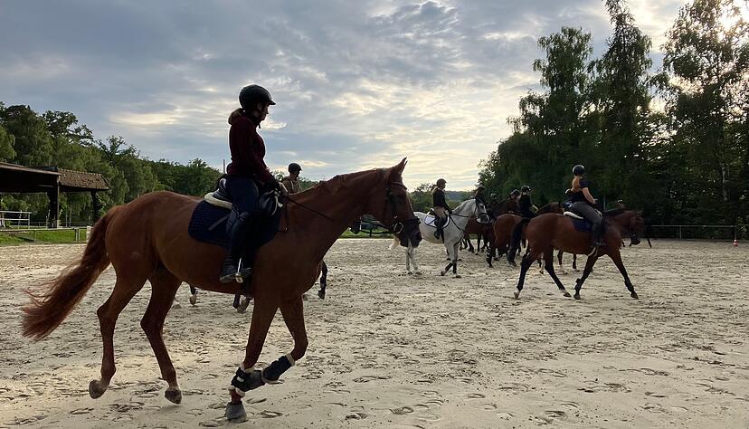 Die Reiterquadrille probt f&uuml;r den K&auml;sritt.