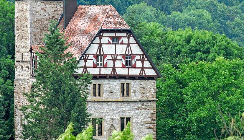 Das historische Schloss in Buchenbach ist weithin sichtbar.