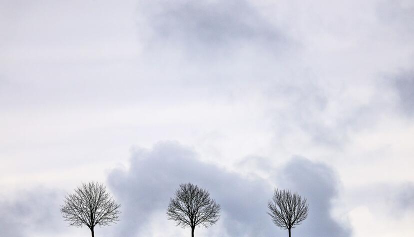 Trotz milder Temperaturen wird es wieder etwas ungem&uuml;tlicher. (Archivbild)