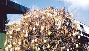Wenn der Osterhase ein Fahrrad oder einfach Eier bringen soll Wenn der Osterhase ein Fahrrad oder einfach Eier bringen soll