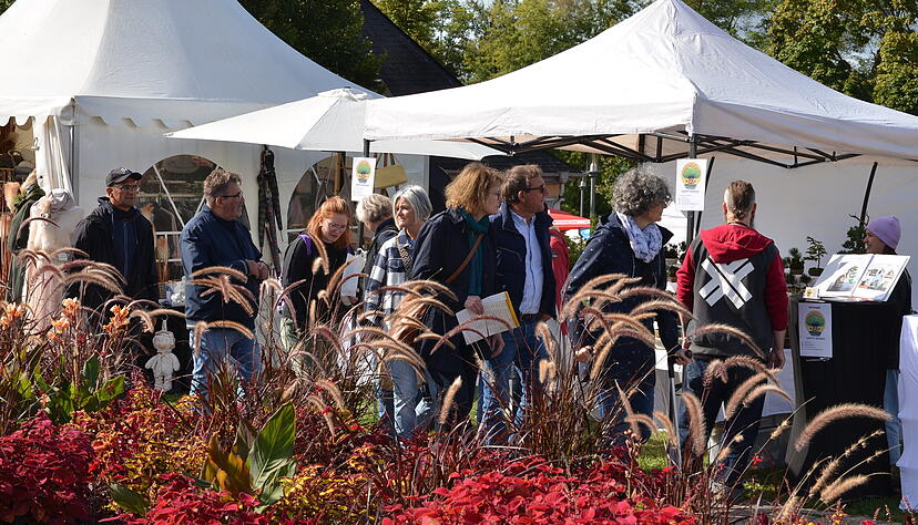 Rund 100 Aussteller bieten bei der Messe "Garten & Genuss" im Bad Rappenauer Salinenpark ihre Waren an. Im Fokus stehen passend zur Jahreszeit Themen rund um den Herbst.
