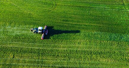 Ein Rasenmulcher fährt über eine Wiese und schneidet Gras.
