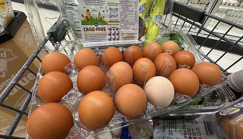 Der Shutdown in den USA macht sich auch bei den Lebensmitteln bemerkbar. Der Shutdown in den USA macht sich auch bei den Lebensmitteln bemerkbar.