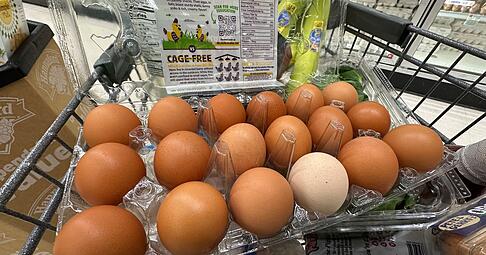 Der Shutdown in den USA macht sich auch bei den Lebensmitteln bemerkbar. Der Shutdown in den USA macht sich auch bei den Lebensmitteln bemerkbar.