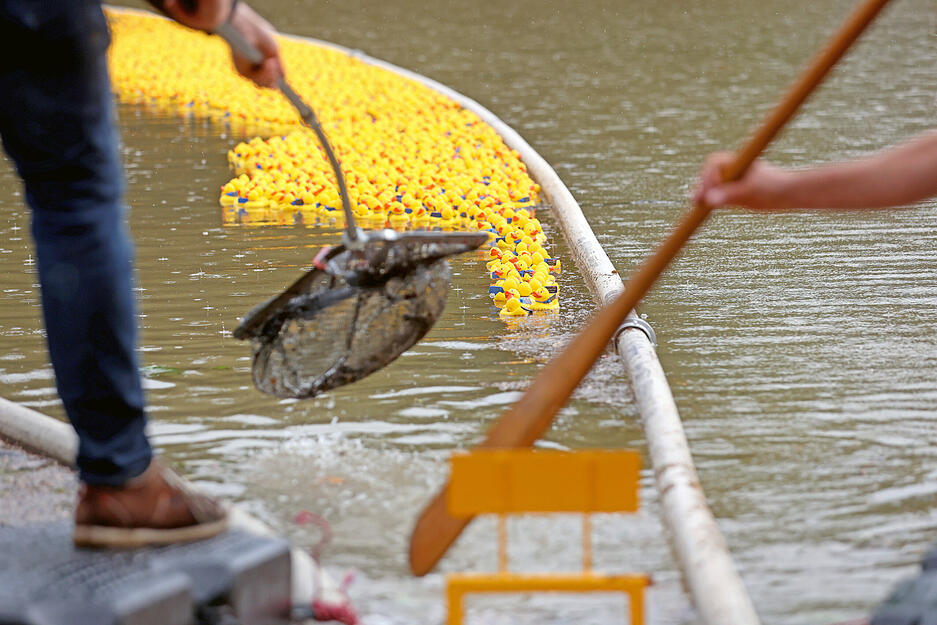 Entenrennen beim Heilbronner Lichterfest Entenrennen beim Heilbronner Lichterfest