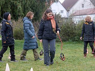 Hobby Dogging in Bad Friedrichshall: Trockentraining für bessere Leinenführigkeit und klare Kommunikation. Hobby Dogging in Bad Friedrichshall: Trockentraining für bessere Leinenführigkeit und klare Kommunikation.