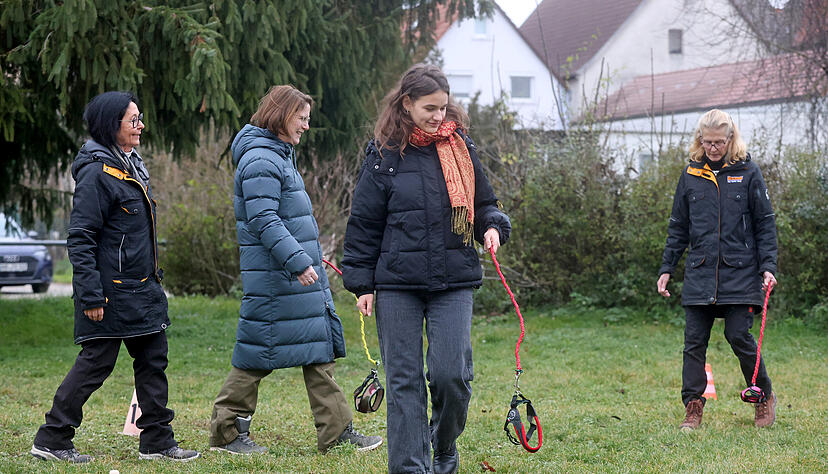 Hobby Dogging in Bad Friedrichshall: Trockentraining für bessere Leinenführigkeit und klare Kommunikation.