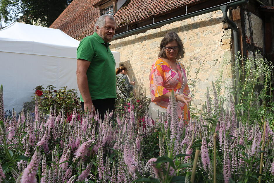 Das Motto der Fürstlichen Gartentage 2025 auf Schloss Langenburg heißt diesmal „Grüner geht immer“. Zwischen einem Meer aus bunten Blumen konnten Besucher bummeln.