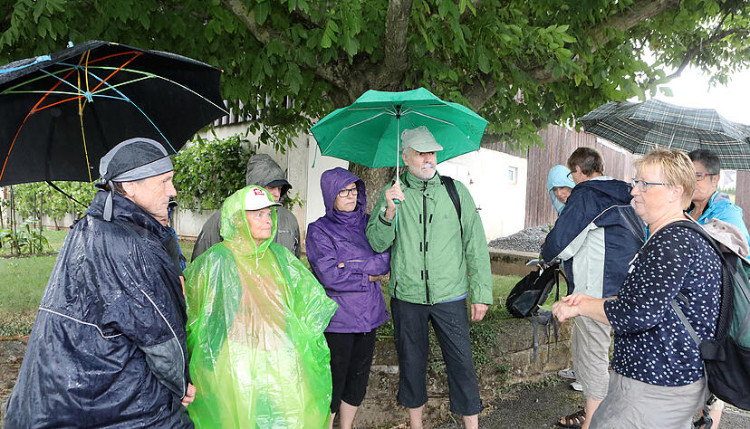 Lesersommer: meine.stimme-Wildkr&auml;uterf&uuml;hrung