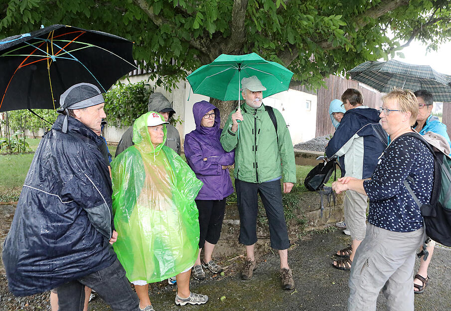 Lesersommer: meine.stimme-Wildkr&auml;uterf&uuml;hrung