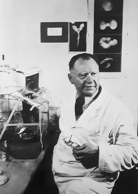 Otto Mangold. Foto: Heimatverein Ilsfeld Otto Mangold. Foto: Heimatverein Ilsfeld