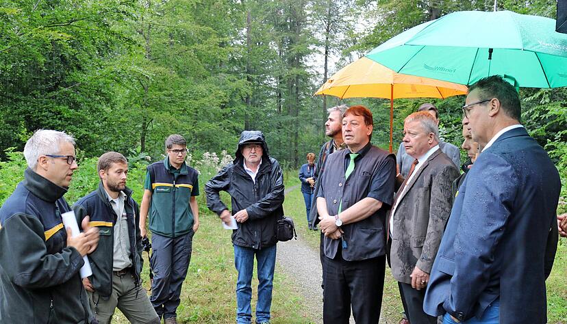 Roland Hartz (links) zeigt Landwirtschaftsminister Peter Hauk (rechts) die Schäden im Buchenwald bei Künzelsau.
Foto: Thomas Zimmermann Roland Hartz (links) zeigt Landwirtschaftsminister Peter Hauk (rechts) die Schäden im Buchenwald bei Künzelsau.
Foto: Thomas Zimmermann