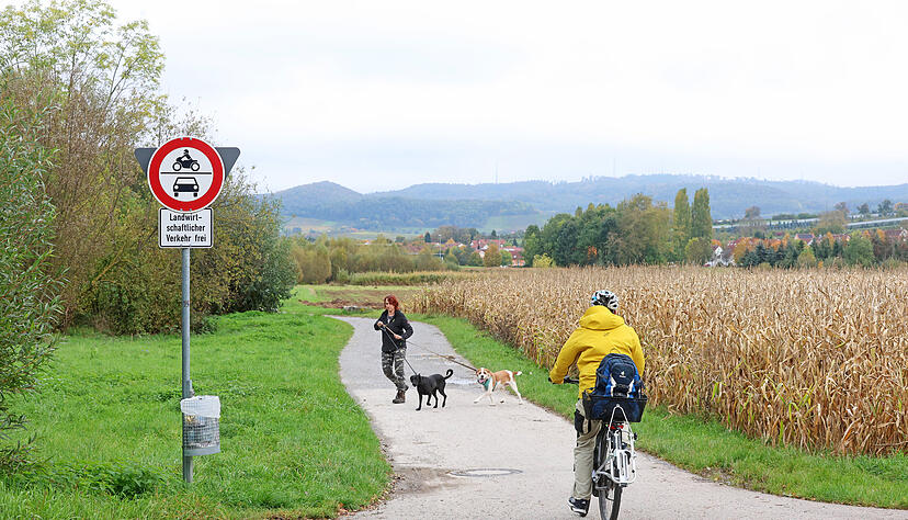 Zwischen dem Kreuzweg und dem Sportcentrum k&ouml;nnte noch in diesem Jahr der getrennte Rad- und Fu&szlig;weg in der Sulmaue begonnen werden.