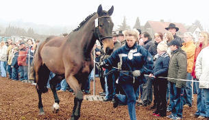 Da ist beim Frauchen ganz schön Puste gefragt: Stefanie Leder stellt ihre Stute Cera Classica auf dem Öhringer Pferdemarkt vor. Für beide ist es eine Premiere. Da ist beim Frauchen ganz schön Puste gefragt: Stefanie Leder stellt ihre Stute Cera Classica auf dem Öhringer Pferdemarkt vor. Für beide ist es eine Premiere.