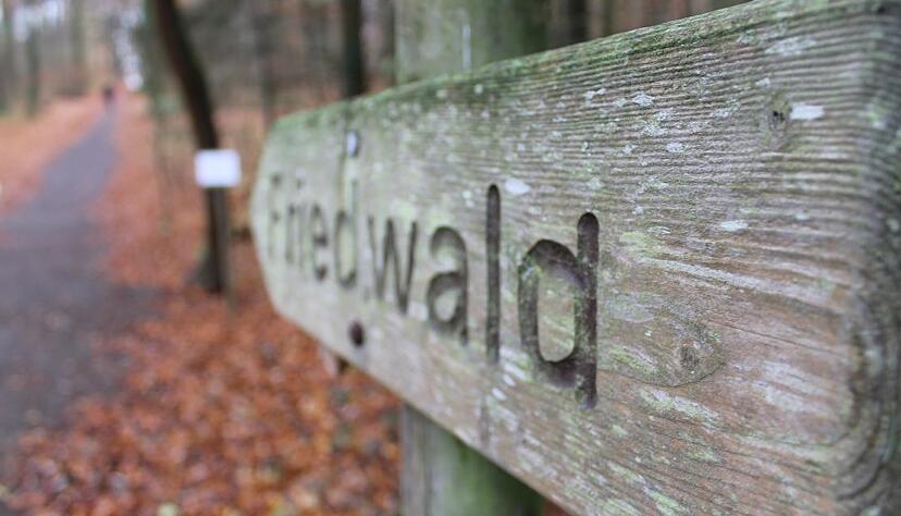 Ein Schild weist zum Friedwald Schwaigern. Fotos: Julia Weller