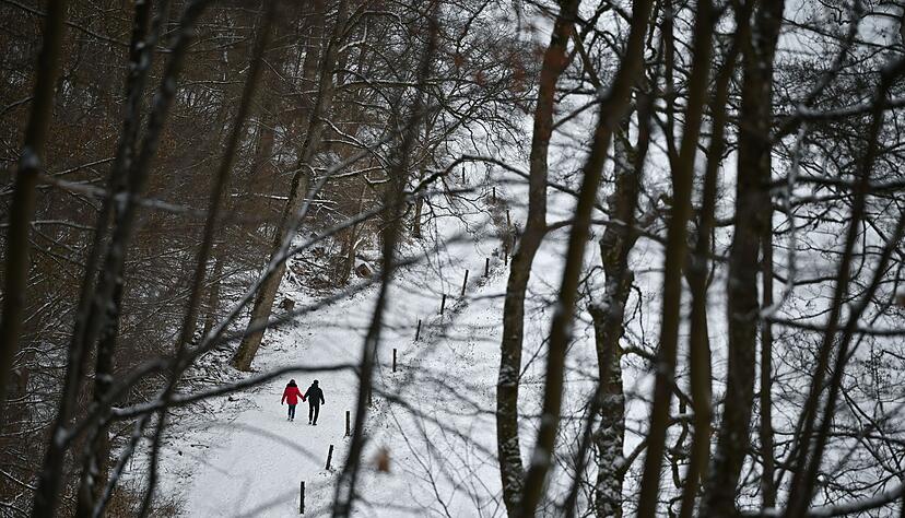 In Wäldern kann es gefährlich werden. In Wäldern kann es gefährlich werden.