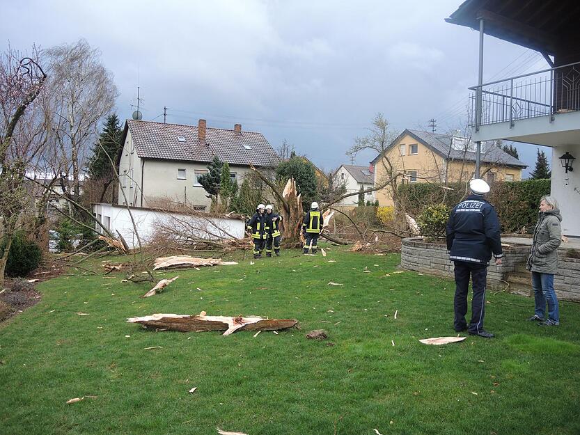 Baum explodiert durch Blitzeinschlag Baum explodiert durch Blitzeinschlag