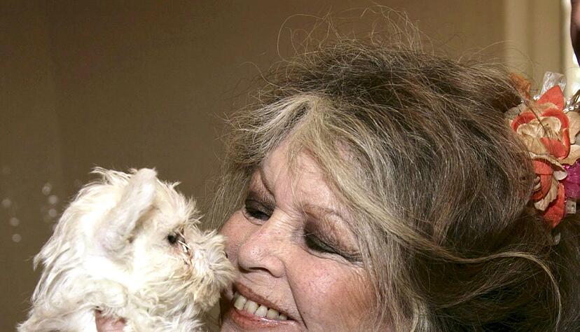 Mit rund 40 Jahren zog Bardot sich abrupt aus dem Filmgesch&auml;ft zur&uuml;ck.