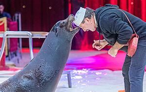 Beim Wildtierverbot will der Heilbronner Weihnachtszirkus Überzeugungsarbeit leisten. Beim Wildtierverbot will der Heilbronner Weihnachtszirkus Überzeugungsarbeit leisten.