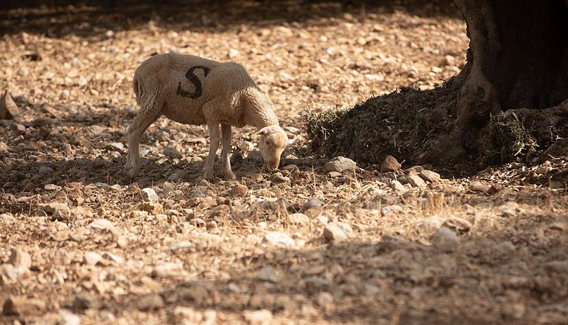 Es werden nicht nur kurzfristige, sondern vor allem langfristige L&ouml;sungen gefordert.