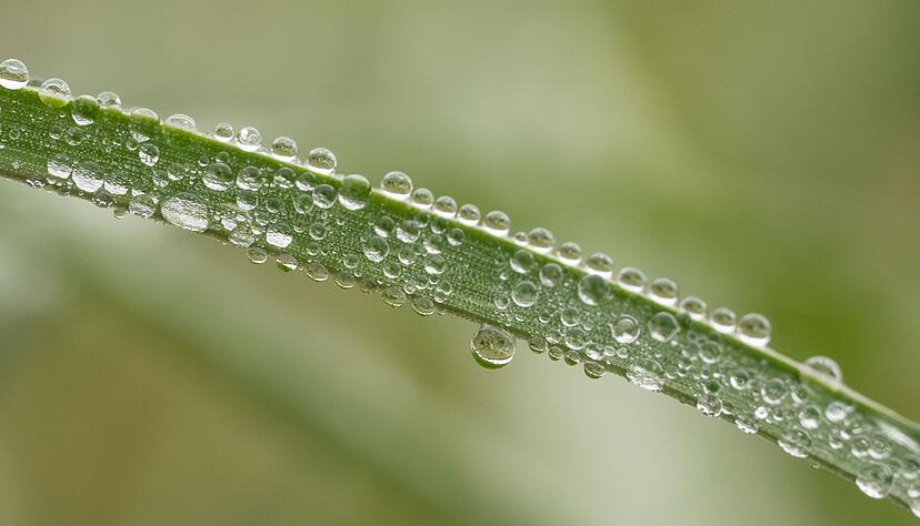In Baden-Württemberg wird es am Wochenende vor allem regnerisch. (Symbolbild) In Baden-Württemberg wird es am Wochenende vor allem regnerisch. (Symbolbild)