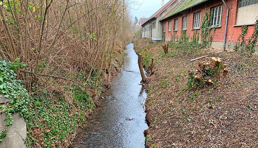 Der Saubach wurde bei einer Gewässerschau auf 1,2 Kilometern Länge genau unter die Lupe genommen &minus; und das Gehölz vorab ordentlich gestutzt.
Foto: Anja Krezer