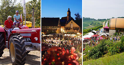 Schleppertreffen in Schwaigern, Weinfest in Erlenbach und Genie&szlig;ertour im Kochertal - diese und weitere Freizeit-Tipps f&uuml;rs Wochenende hat die Stimme-Redaktion zusammengestellt.