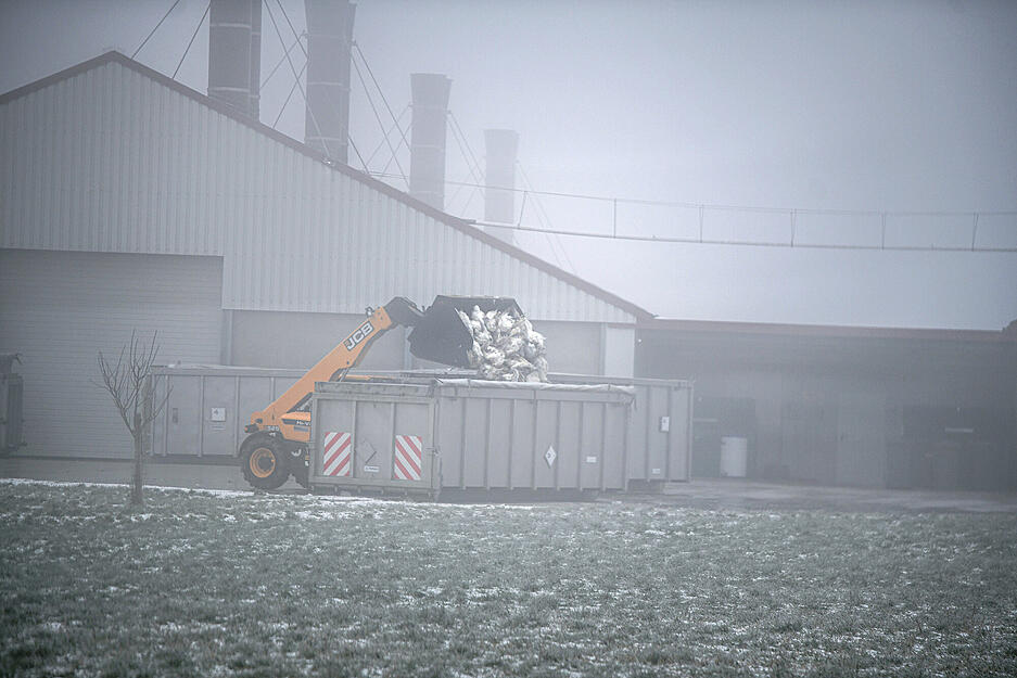 Ein Radlader kippt getötete Puten in einen Container.