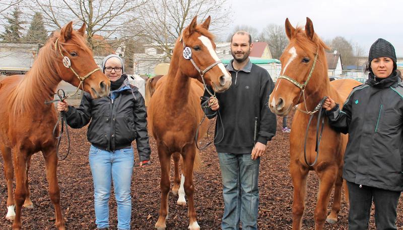 Mandy Lautenschläger (v. li.), Thomas Friese und Katharina Seibold stellten die Karabagh-Pferde Elnara, Elenya und Türkan zur Prämierung vor.
Foto: Bettina Hachenberg Mandy Lautenschläger (v. li.), Thomas Friese und Katharina Seibold stellten die Karabagh-Pferde Elnara, Elenya und Türkan zur Prämierung vor.
Foto: Bettina Hachenberg