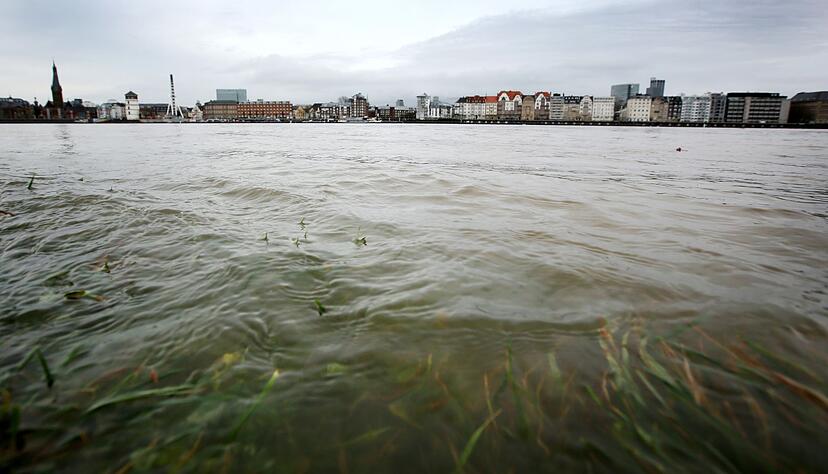 Im Rhein schwimmt mehr M&uuml;ll als angenommen. (Archivbild).