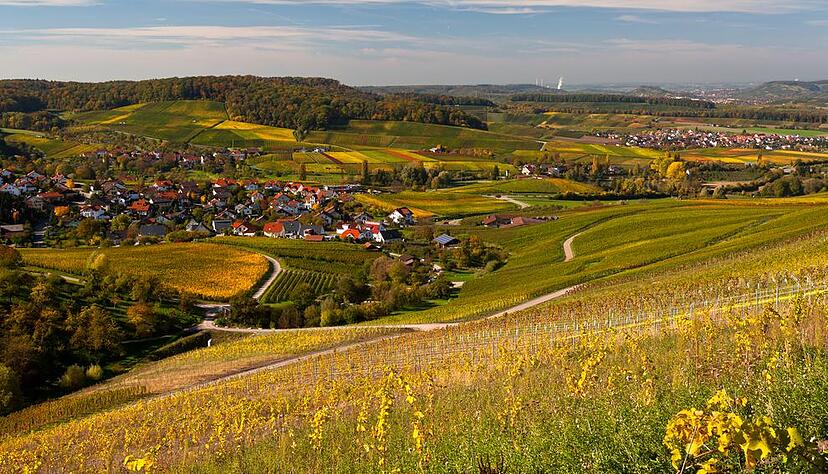 Goldener Oktober bei Löwenstein.