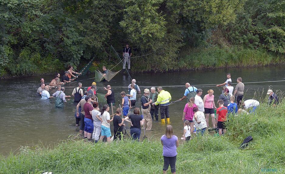 Fischrettung Siglingen | 28.08.2015