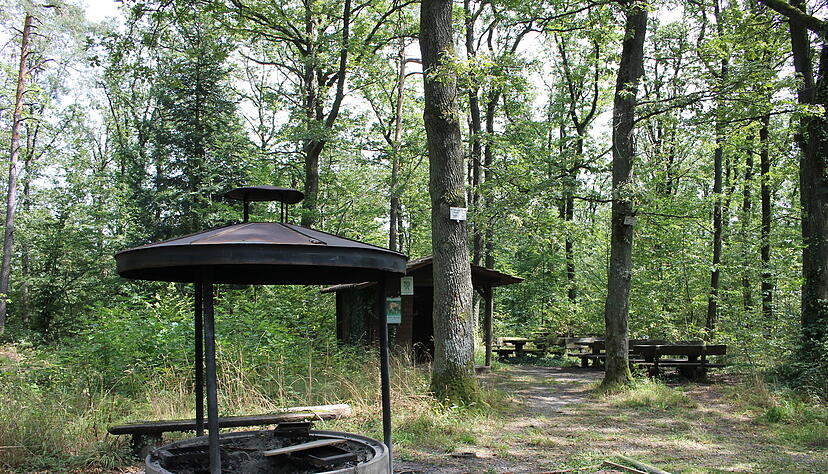 Wenn man ein bisschen aufr&auml;umt, ist die Feuerstelle noch nutzbar. Die teils bemoosten B&auml;nke neben der Schutzh&uuml;tte laden jedoch nicht zur Rast ein.