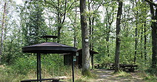 Der Landkreis Heilbronn hat viele &ouml;ffentlichen Grillpl&auml;tze zu bieten. Wie hier der Grillplatz N&auml;sser im Cleebronner Wald.