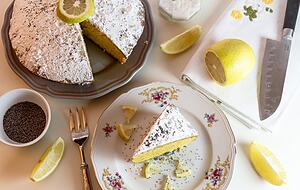 Zitronenkuchen mit Xylit ist in den Sommermonaten besonders erfrischend und befriedigt gleichzeitig die Lust auf Süßes.