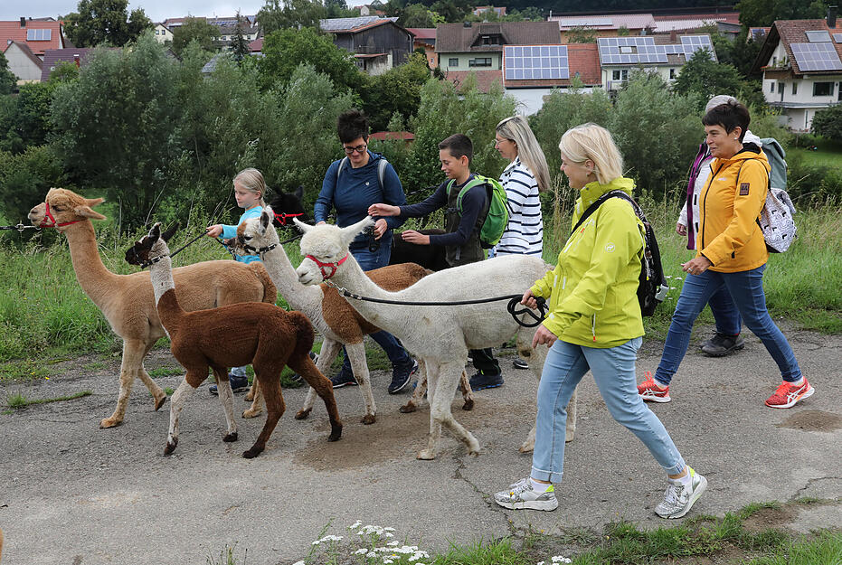 Ob im Stall oder auf dem Spaziergang mit den Tieren, Jung und Alt nahmen unvergessliche Eindr&uuml;cke mit auf den Heimweg.