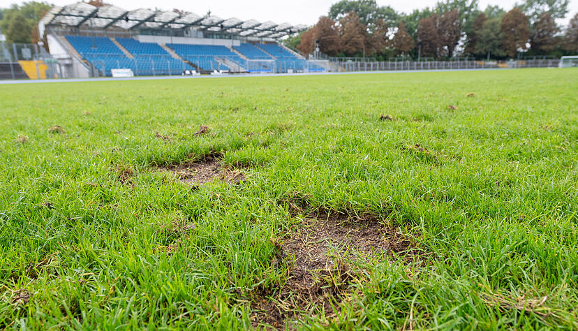 Auf Heimspiele im Frankenstadion muss der VfR Heilbronn derzeit verzichten. Die Stadt hat es aufgrund einer Rasensanierung gesperrt.