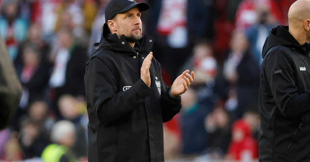 VfB coach celebrates anniversary: This pro has made the most appearances ...