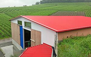 Stein des Anstoßes: ein rotes Blechdach auf einer neuen Lagerhalle für Weinflaschen im Heilbronner Weingut Jürgen Drautz. Eine solche Farbe dürfe in einem Landschaftsschutzgebiet nicht sein, kritisiert ein Anwohner. Die Stadt prüft den Fall. Foto: Friese Stein des Anstoßes: ein rotes Blechdach auf einer neuen Lagerhalle für Weinflaschen im Heilbronner Weingut Jürgen Drautz. Eine solche Farbe dürfe in einem Landschaftsschutzgebiet nicht sein, kritisiert ein Anwohner. Die Stadt prüft den Fall. Foto: Friese