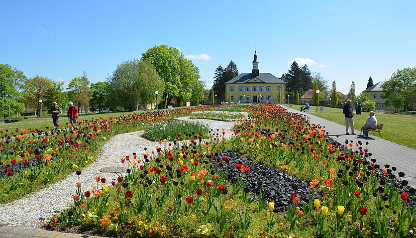 In Bad Rappenau fand am 9. Juni die Kommunalwahl statt. In Bad Rappenau fand am 9. Juni die Kommunalwahl statt.