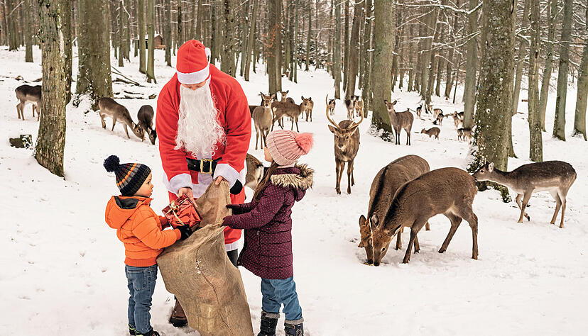 Der Weihnachtsmann kommt immer an den Adventssonntagen im Winterwunderwald in Tripsdrill zu Besuch.