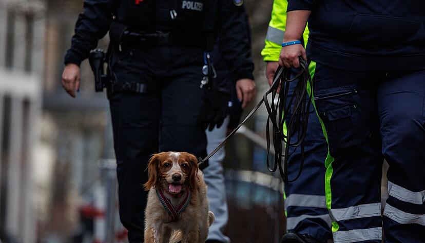 Auch ein Hund war bei der Suche im Einsatz.